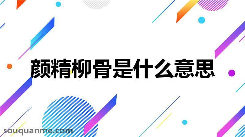 颜精柳骨是什么意思 颜精柳骨的拼音 颜精柳骨的成语解释